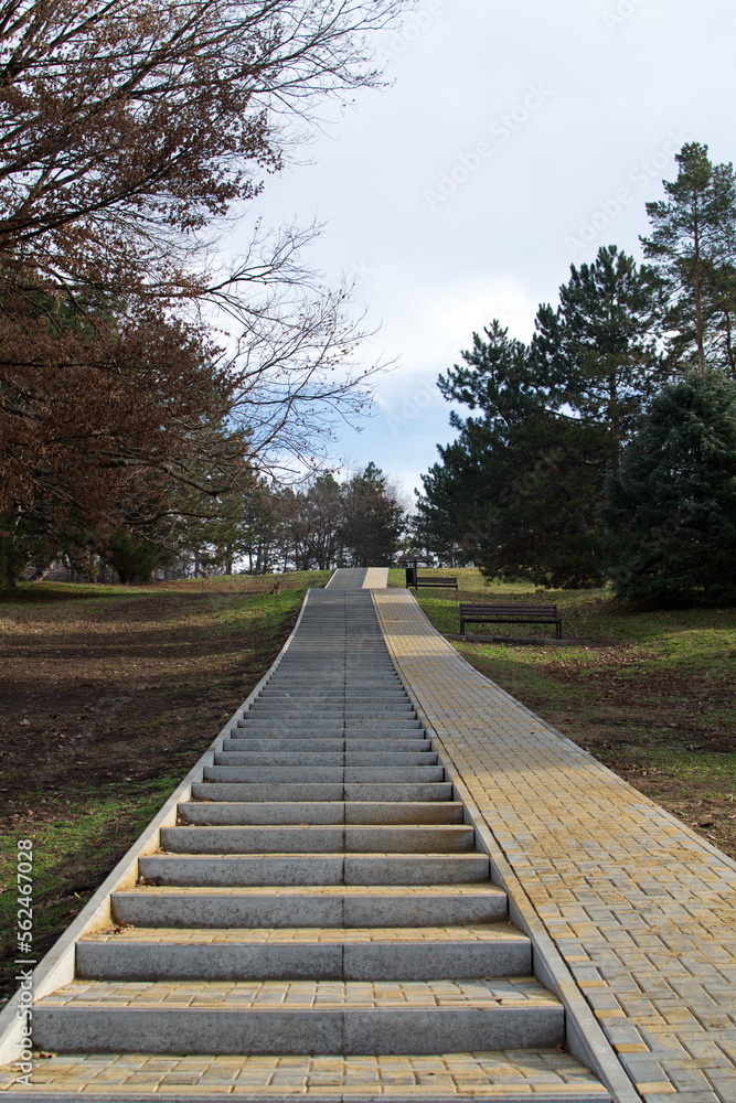 Long staircase leading up the hill in the city park