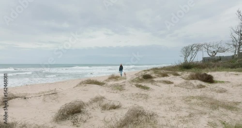 Mistress standing with her dog on the cliff of a beach