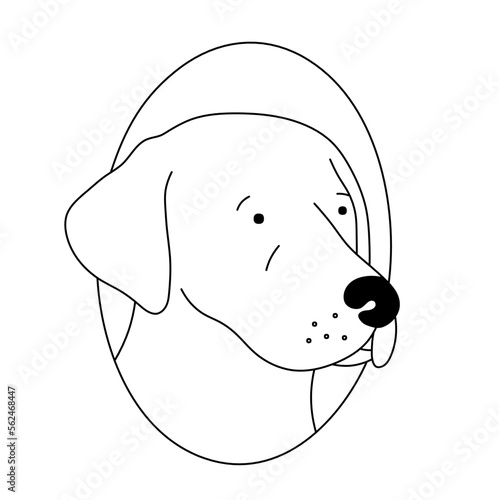 Vector isolated dog puppy labrador retriver head turned to the right face portrait muzzle front view colorless black and white contour line easy drawing