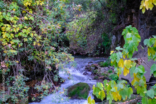 Israel, Golan Heights, Nimrod Fortress, Banias Falls, Mount Hermon