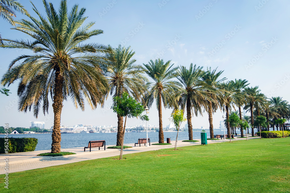 beautiful modern urban park with green lawn and palm trees on the seashore. Dubai United Arab Emirates.
