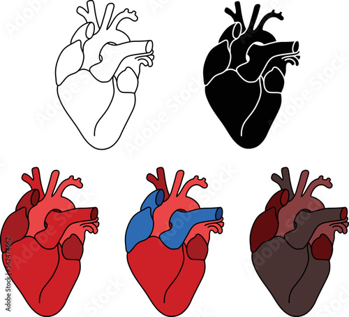 Realistic Heart Clipart Set - Outline, Silhouette & Color