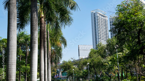Thailand park, trees in the foreground and tall buildings in the background © Yuriy