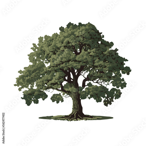 Majestic Oak Tree Vector Illustration