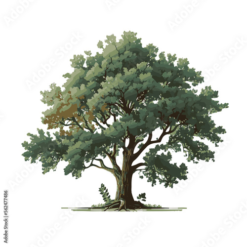 Majestic Oak Tree Vector Illustration