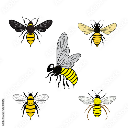 Queen Bee Silhouette, Queen Bee Clipart, Queen Bee Bundle SVG. vector illustration © illustrator