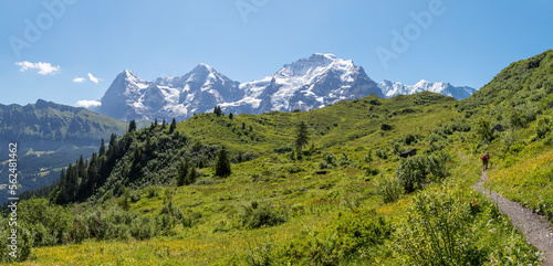 The panorma of Bernese alps with the Jungfrau, Monch and Eiger peaks over the alps meadows.
