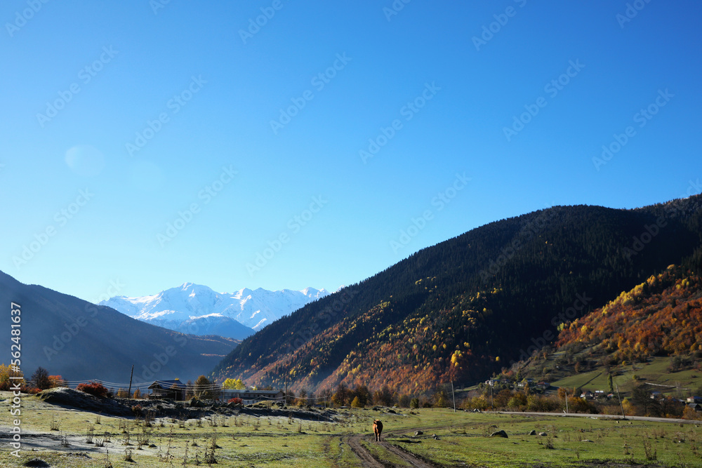 Picturesque view of beautiful high mountains under blue sky on sunny day
