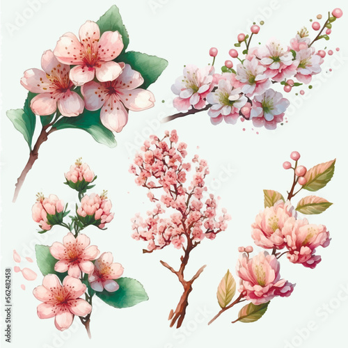 Collection of сherry blossom flowers and branches in vector watercolor style. Image created neural networks.