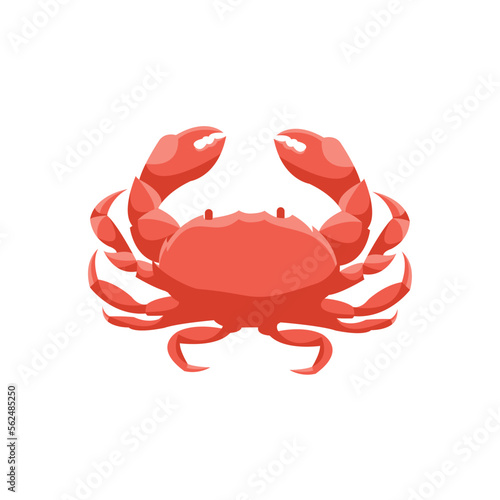 Cartoon crab illustration vector design