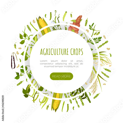 Organic Cereals and Legume Banner Design with Growing Crops and Plant Vector Template