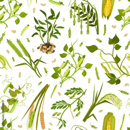 Organic Cereals and Legume Seamless Pattern Design with Growing Crops and Plant Vector Template