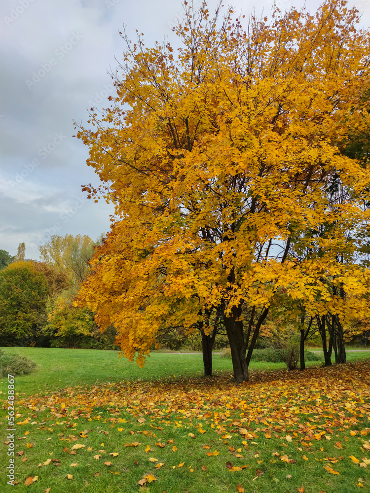 Autumn view of South Park in city of Sofia, Bulgaria