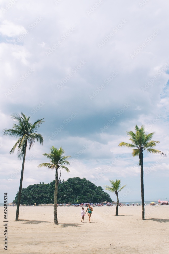 Fototapeta premium Processed with VSCO with a1 preset