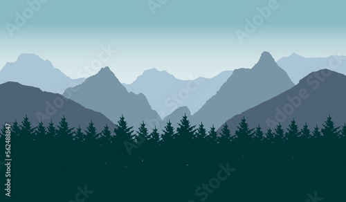 Pine Tree Forest Background. Spruce tree silhouette. Spruce tree Forest Background.	