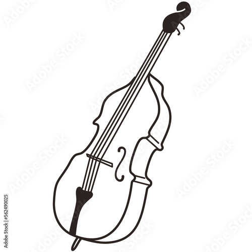 Photography double bass