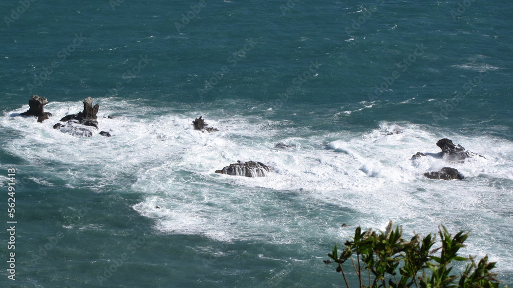 Fototapeta premium surfing the wave