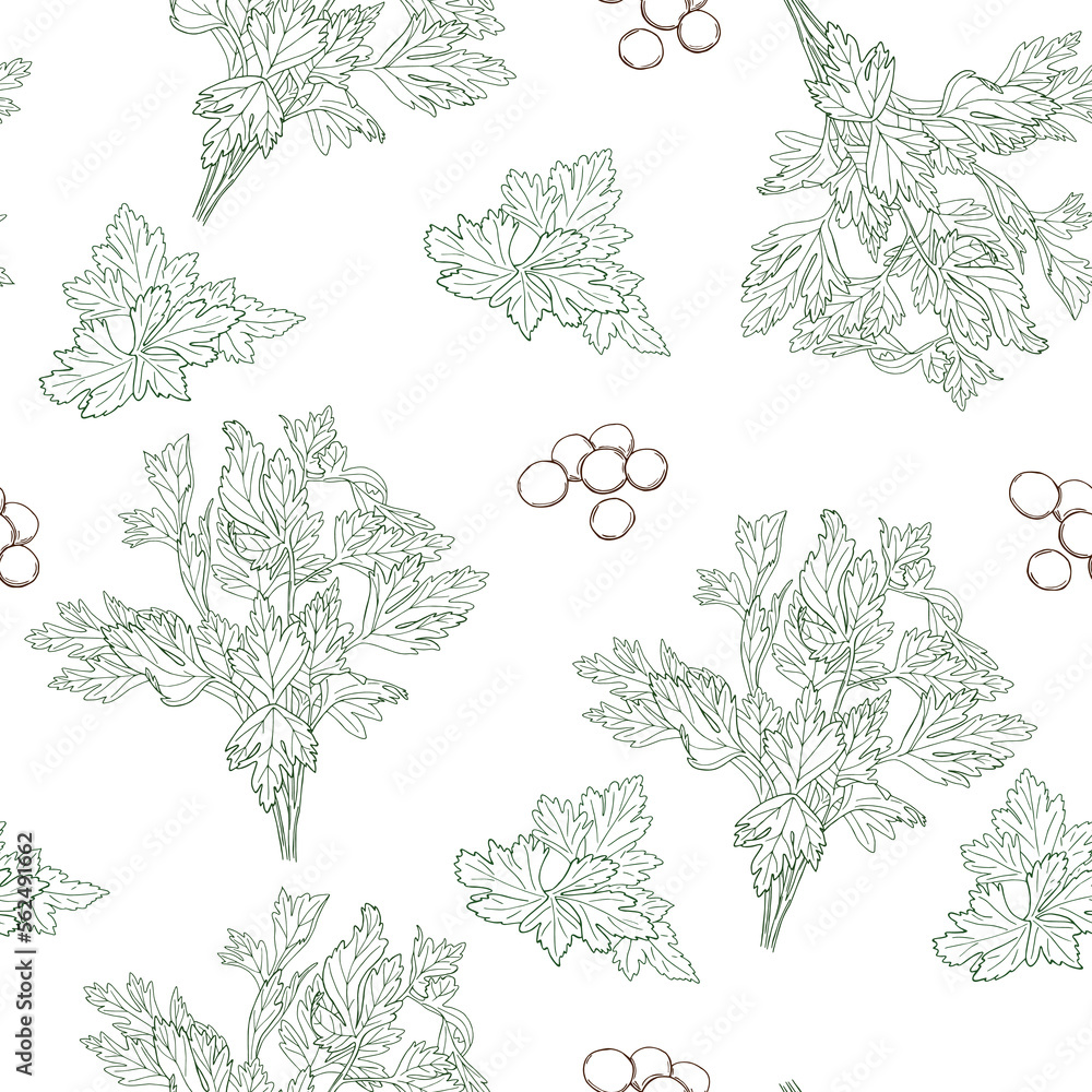 Seamless vector pattern of line hand drawn cilantro branches, leaves and seeds on light green background Seamless vector pattern of line hand drawn cilantro branches, leaves and seeds on light green background