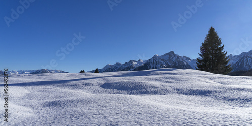 Winterlandschaft und strahlend blauer Himmel