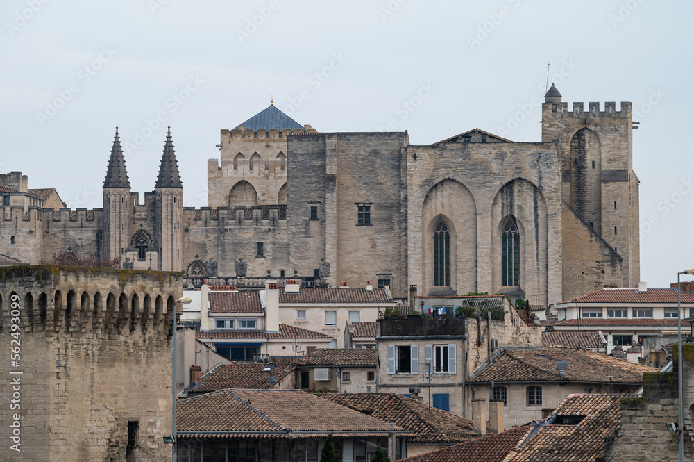 Avignon, Vaucluse, France - Panoramic view of old town with the Palace of the Popes