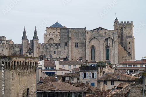 Avignon, Vaucluse, France - Panoramic view of old town with the Palace of the Popes