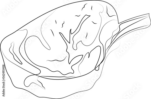 steak outline