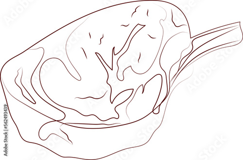 steak outline