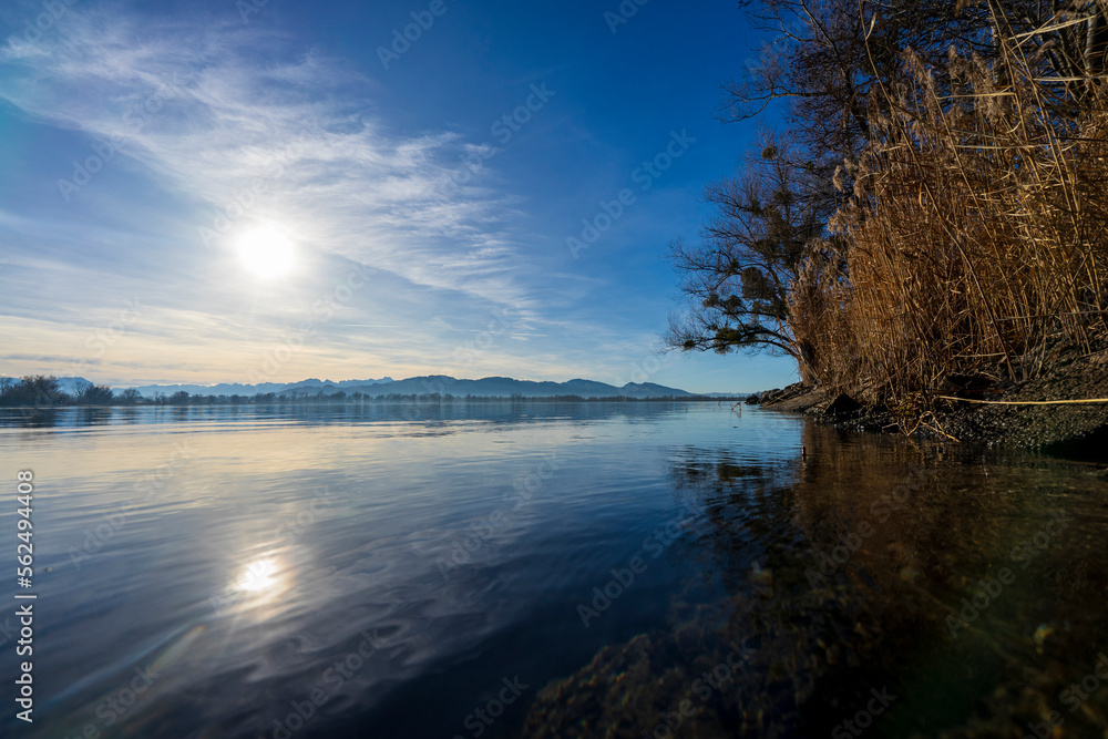 Sonnenuntergang mit Baum am Bodensee