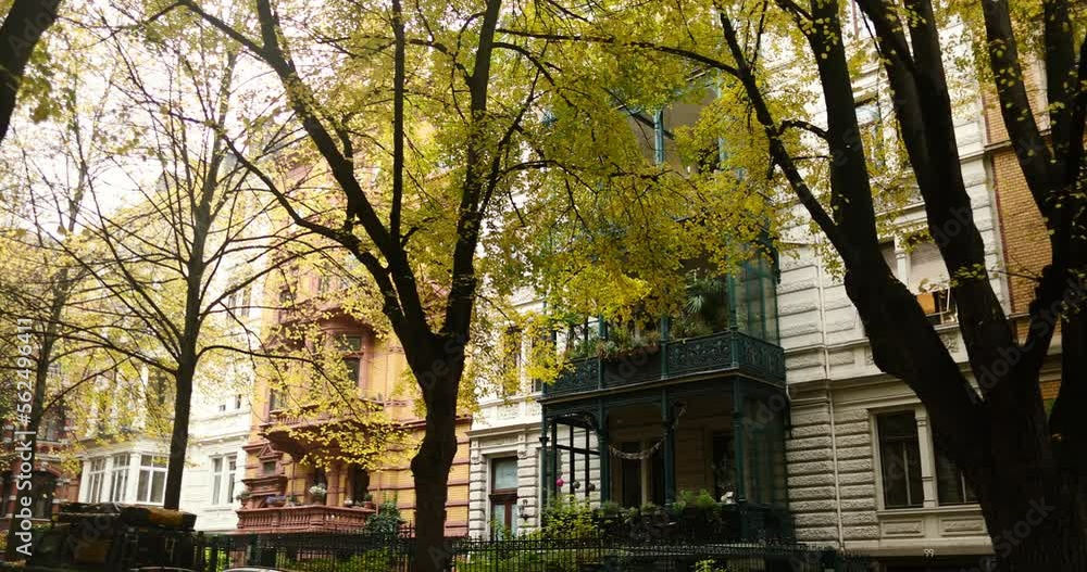 Nice yellow autumn trees after rainy day in old area in october. High quality 4k footage Nice yellow autumn trees after rainy day in old area in october. High quality 4k footage