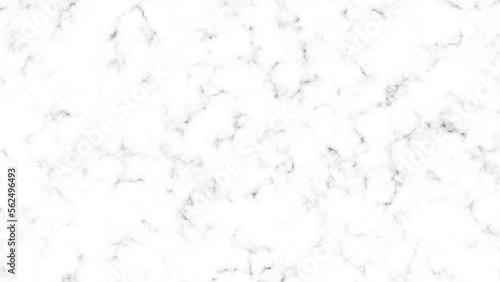 White marble background texture natural stone pattern.Abstract light elegant black for do floor ceramic counter texture stone slab smooth tile gray silver.Marble texture for skin tile luxurious design © Aquarium