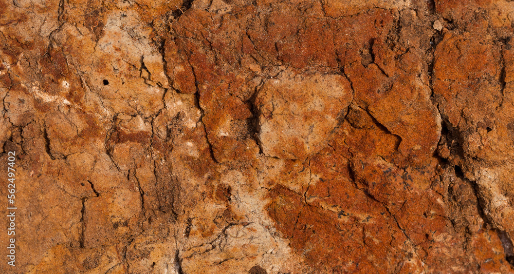 Sedimentary rocks with a high content of iron oxide. Red soil, loam. The texture of the soil. Sedimentary rocks with a high content of iron oxide. Red soil, loam. The texture of the soil.