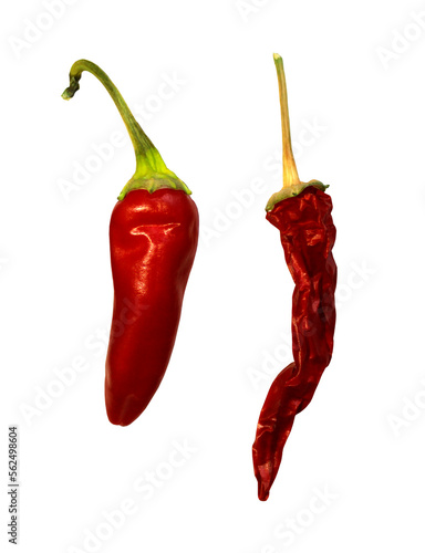 Fresh and dried chili pepper isolated on white background. Photo of two ripe red chili peppers