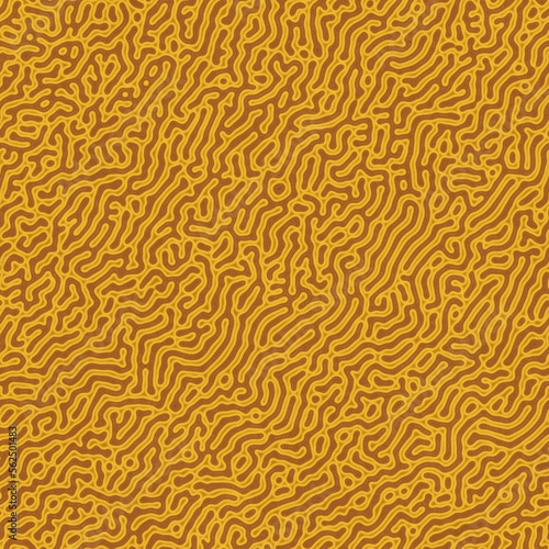Seamless texture of organic brain coral pattern
