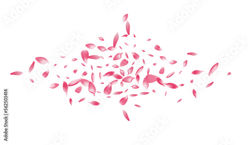 Purple Peach Petal Vector White Background.