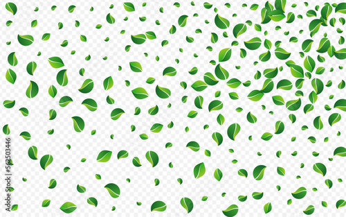Green Foliage Tea Vector Transparent Background.