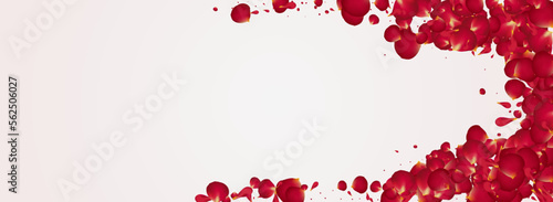 Fototapeta Naklejka Na Ścianę i Meble -  Red Lotus Japan Vector Panoramic White