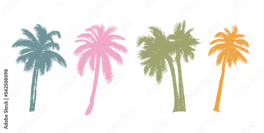 Hello Summer, Palm hand drawn illustrations, vector.
