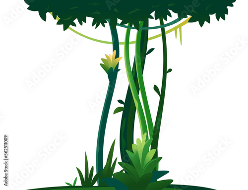 Decorative composition of jungle trees and lianas on white background, green silhouette of vegetation of the jungle, topical forest plants