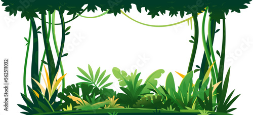 Wild jungle forest with trees, bushes and lianas on white background, decorative composition of jungle plants on one side, dense vegetation of the jungle, topical forest plants