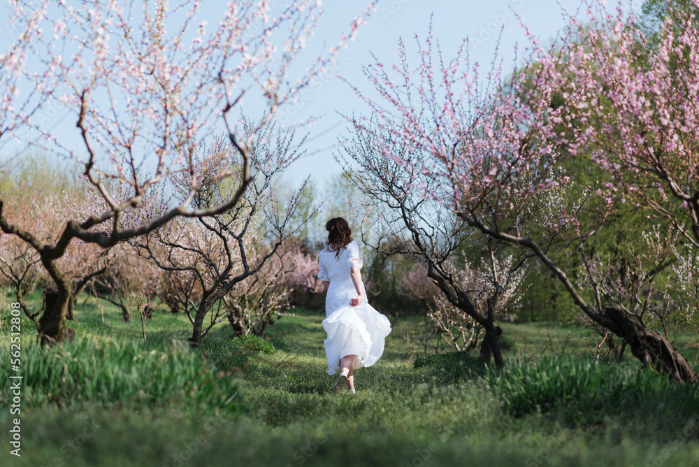 Young girl in white dress running in blooming spring peach tree garden Young girl in white dress running in blooming spring peach tree garden