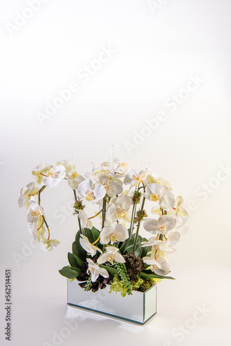 Obraz na płótnie philodendra orchid flower arrangement w salonie