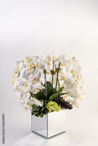 Obraz na płótnie philodendra orchid flower arrangement w salonie
