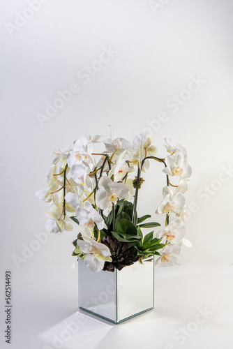 philodendra orchid flower arrangement