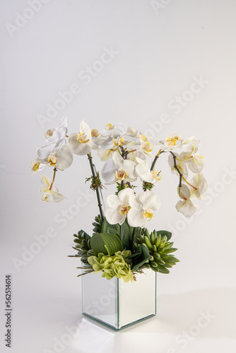 Obraz na płótnie philodendra orchid flower arrangement w salonie