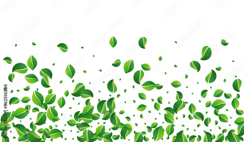 Swamp Leaves Tea Vector White Background. Fresh Swamp Leaves Tea Vector White Background. Fresh