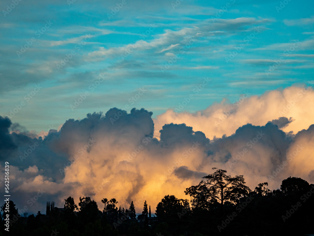 Sunset clouds and silhouetted trees at golden hour