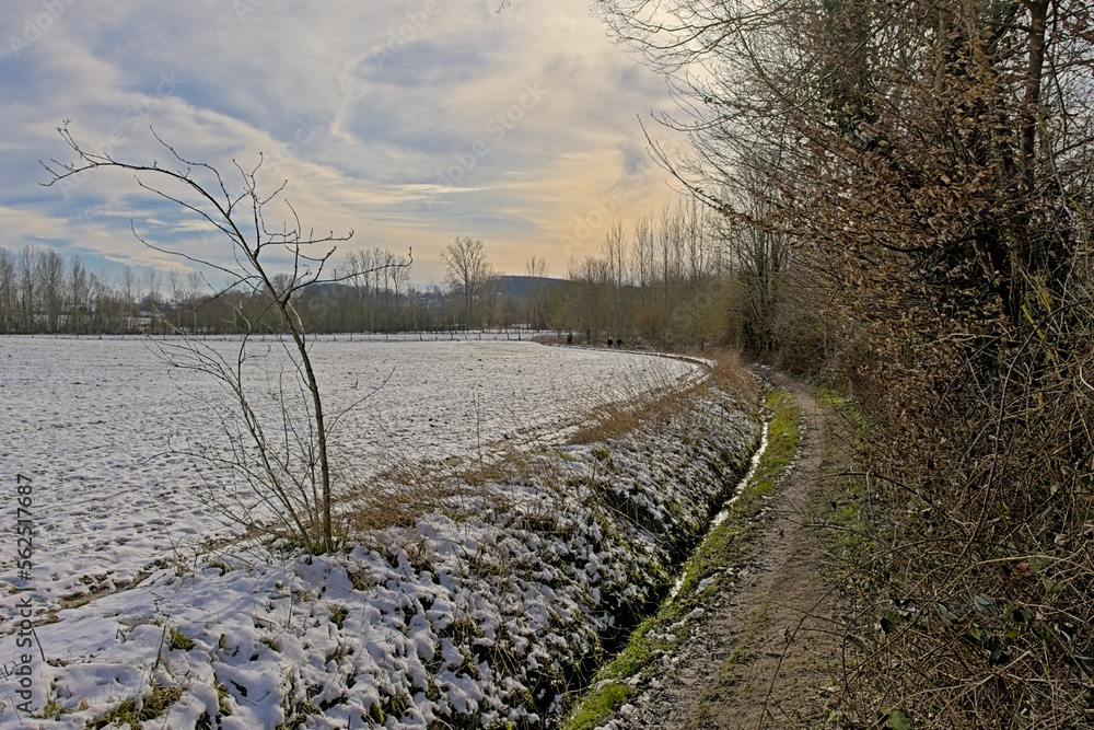 Path along meadow covered in snow and bare trees and shrubs on a sunny day in the woods of Munkzwalm, Flanders, Belgium Path along meadow covered in snow and bare trees and shrubs on a sunny day in the woods of Munkzwalm, Flanders, Belgium