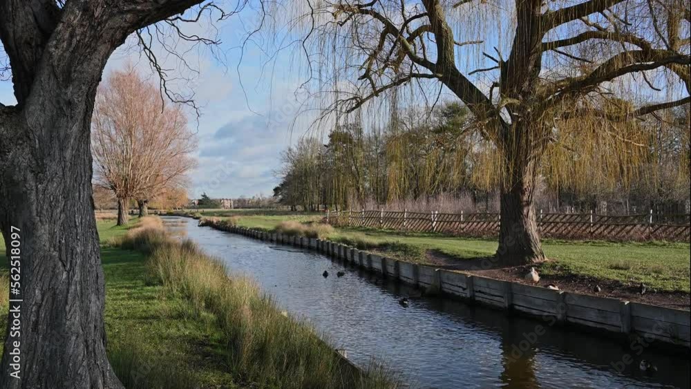 Peace and tranquility of being beside water and nature Peace and tranquility of being beside water and nature