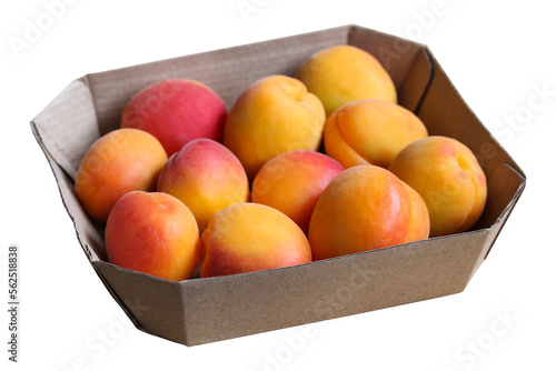 cardboard box with apricots, isolated on a white background with a clipping path. eco-friendly packaging.
