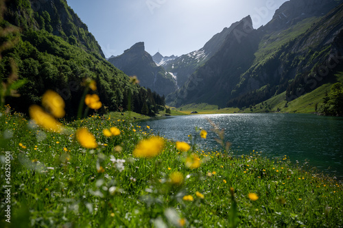 Seealpsee